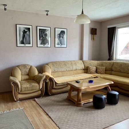 Apartmani Alo Alo Plav Extérieur photo
