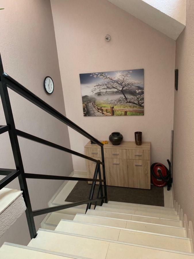 Apartmani Alo Alo Plav Extérieur photo