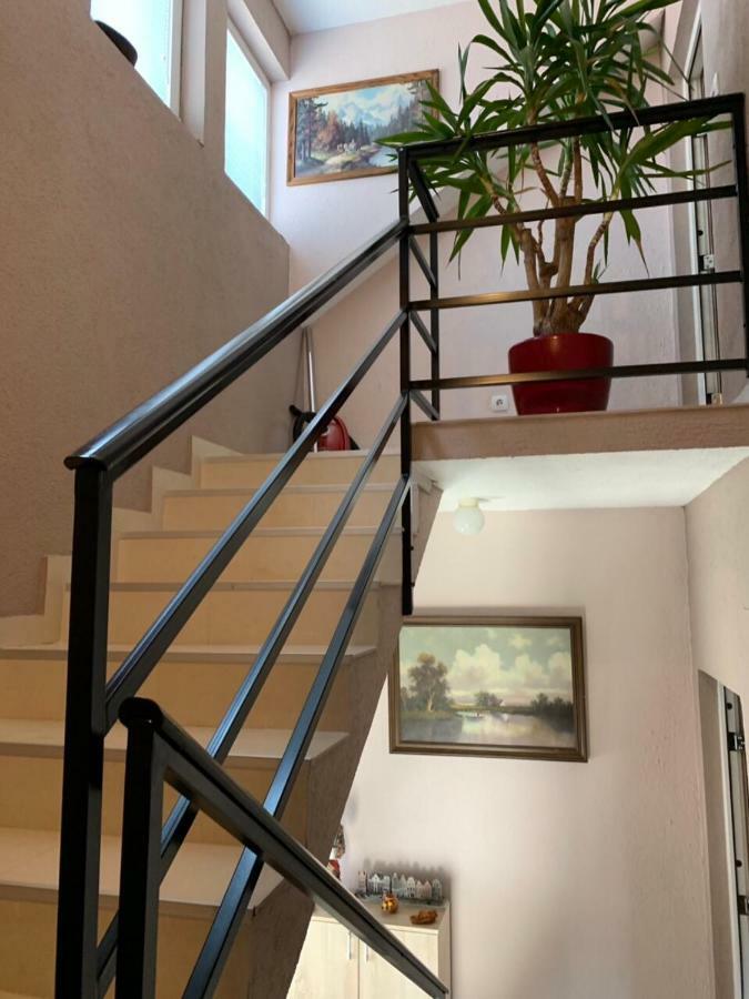 Apartmani Alo Alo Plav Extérieur photo
